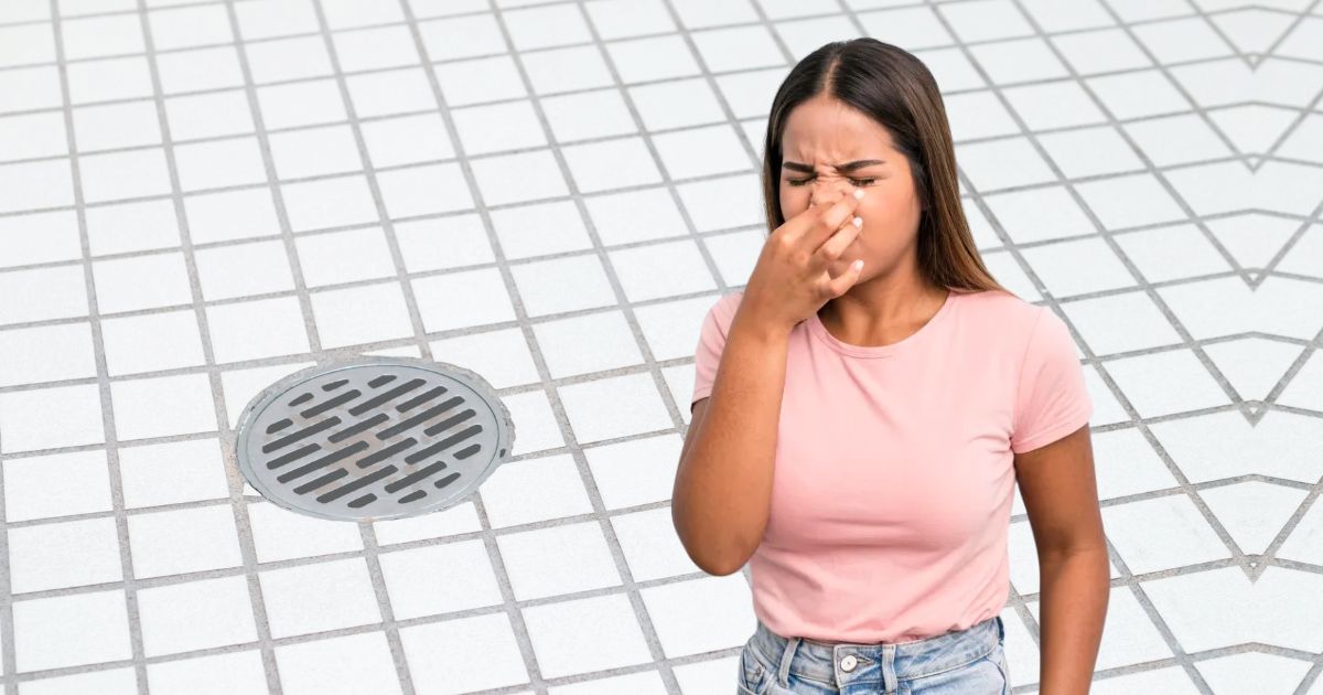 O que é refluxo de esgoto e como ele pode afetar sua saúde